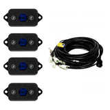 LED Rock Light Kit Blue 447058