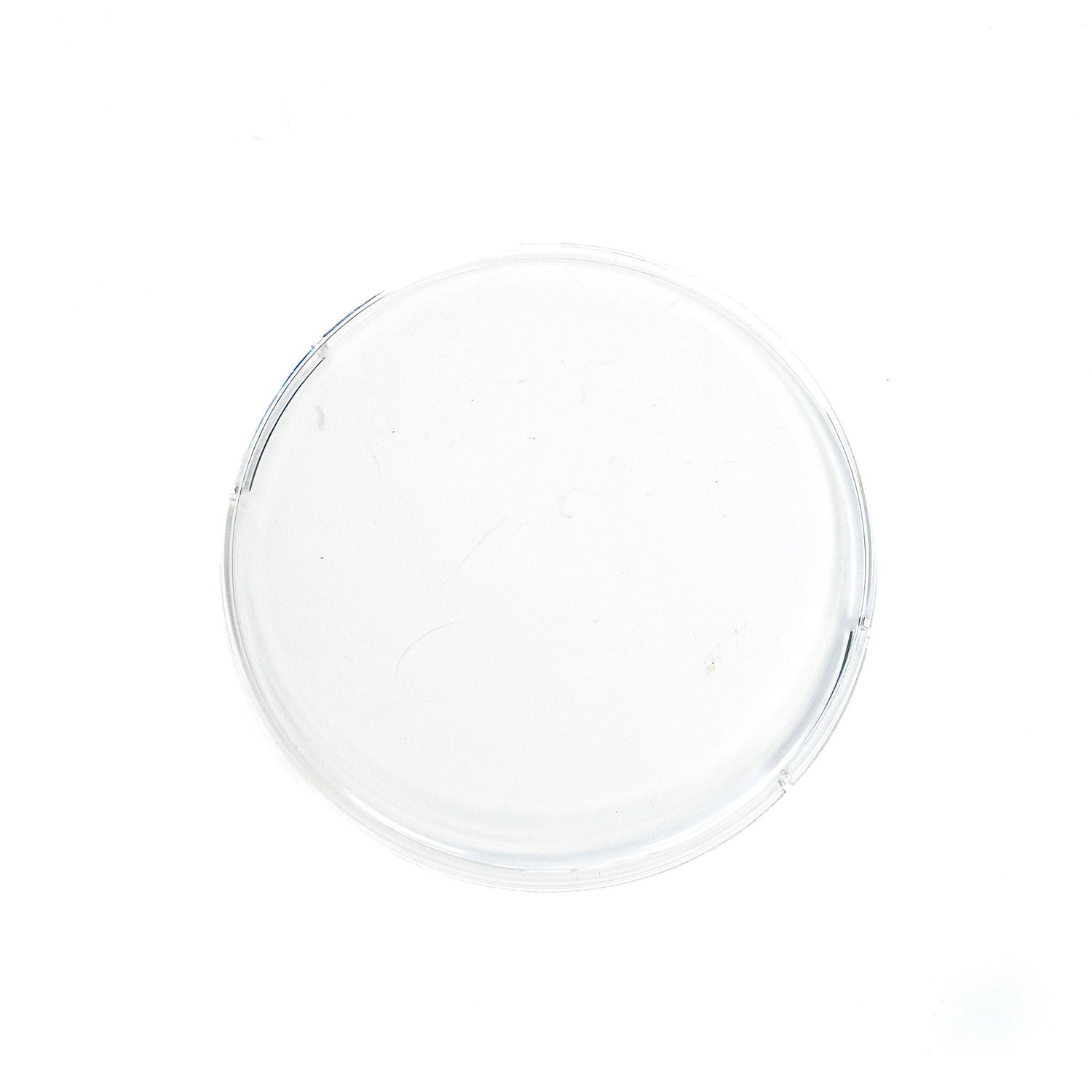 Squadron-R 2.0 Single Rock Guard Clear 66-8019